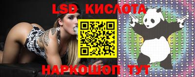 прущие грибы Ипатово