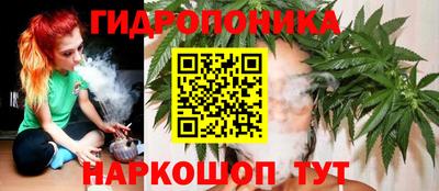 прущие грибы Ипатово