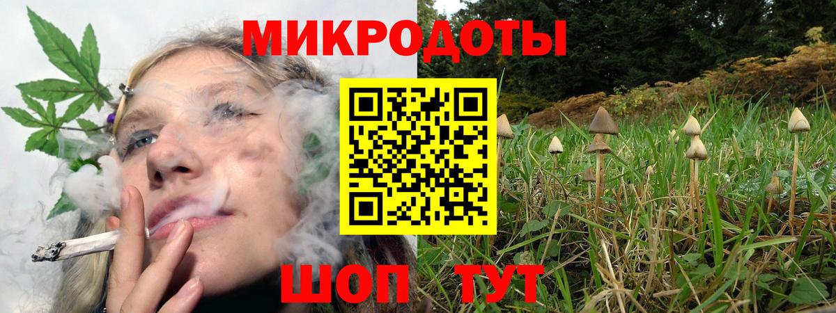 Дальнереченск  Галлюциногенные грибы Psilocybine cubensis  Псилоцибиновые грибы мицелий  Вход с VPN 